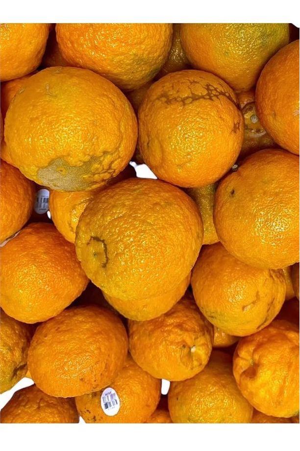 Sour Orange|Seville Orange|Bitter Orange