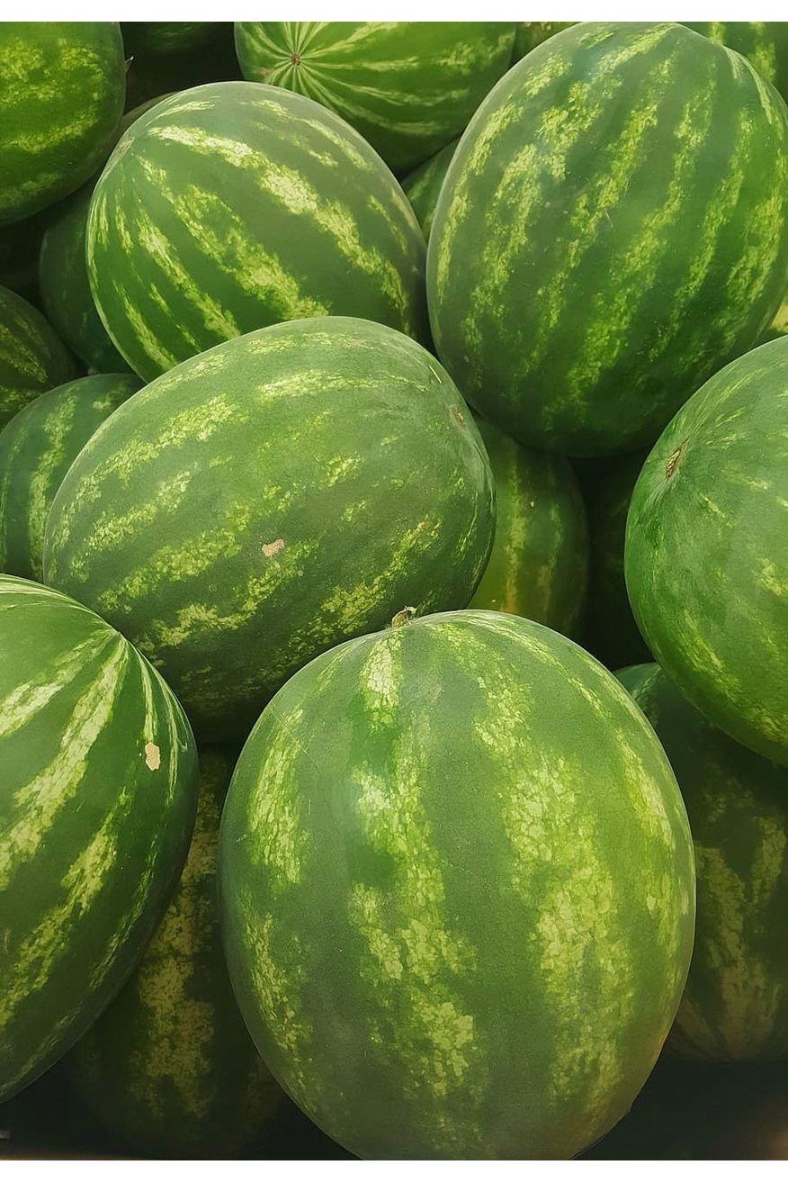 Black Seeded Watermelon Cold-Pressed Juice