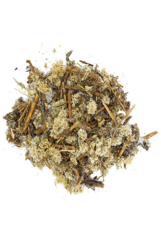 Mullein Flowers |Gordolobo Tea (Wild Crafted)