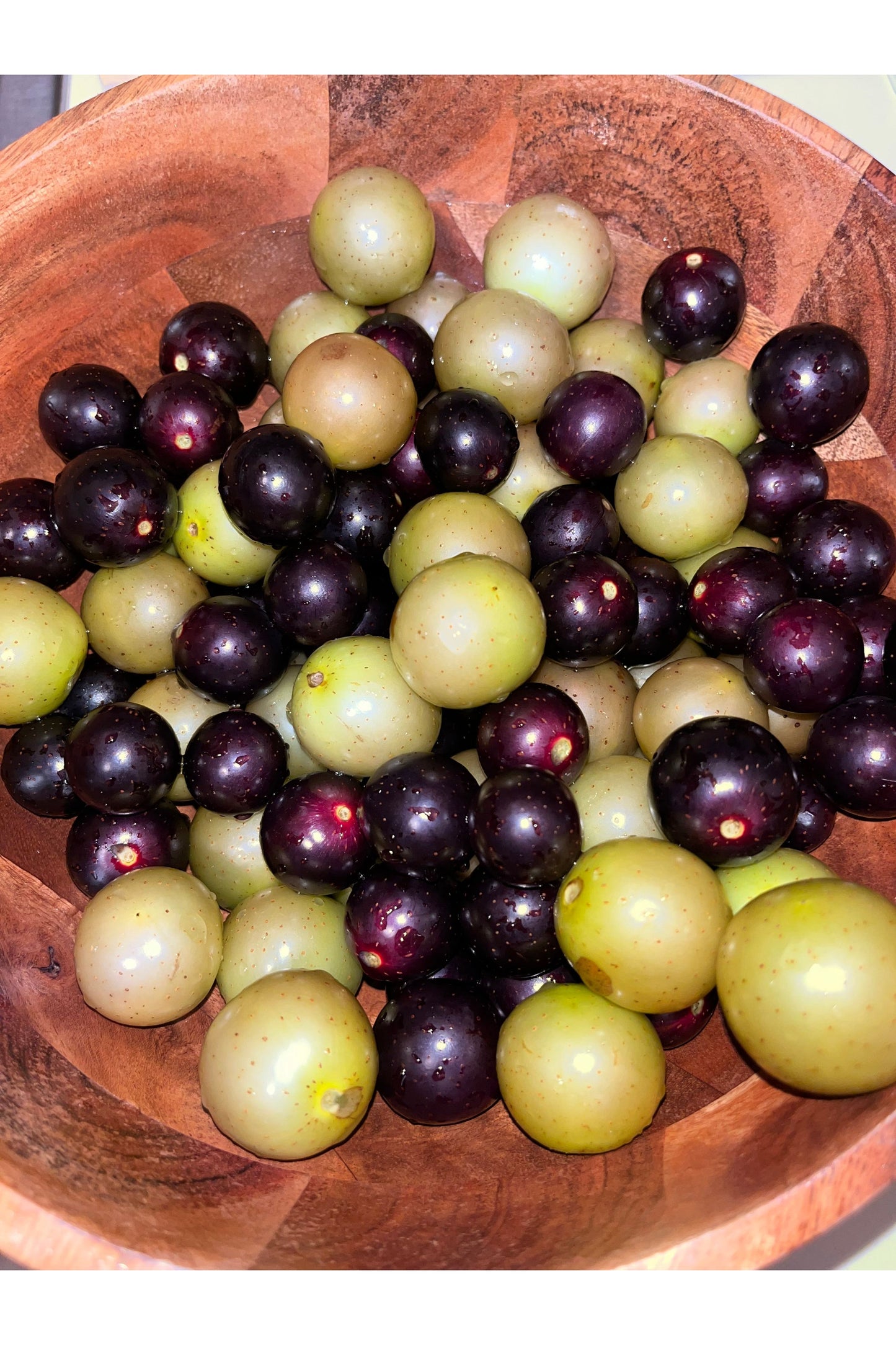 Muscadine Grapes (Seasonal End August- October)