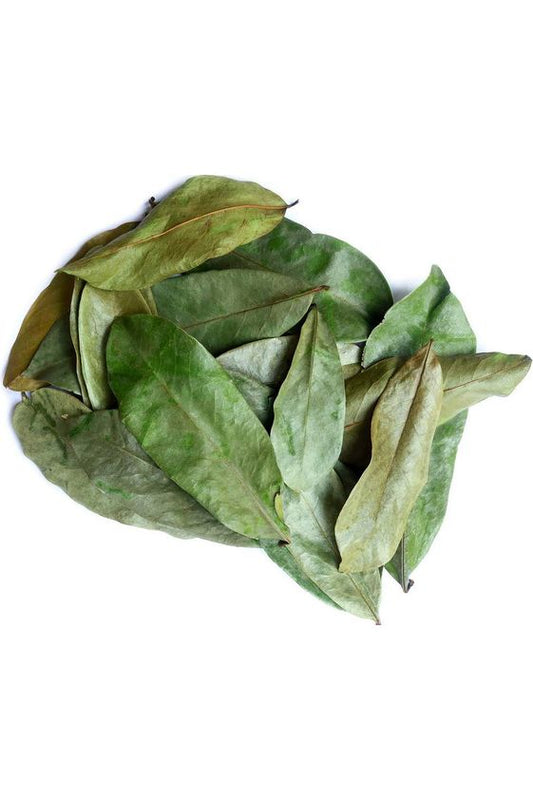 Organic Soursop Leaves (Graviola Leaf )