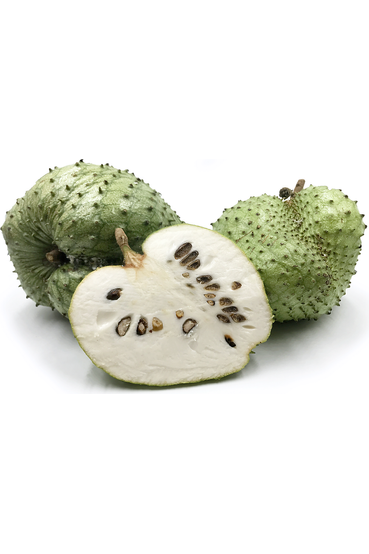 Soursop