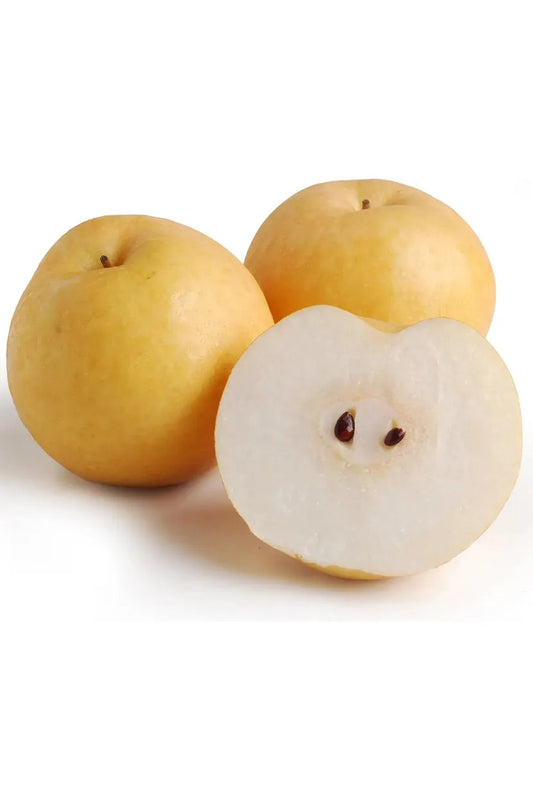 Asian Pears (Seasonal Fruit)